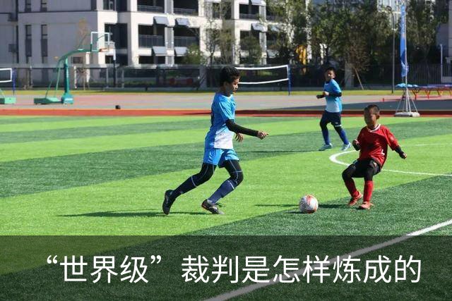 “世界级”裁判是怎样炼成的