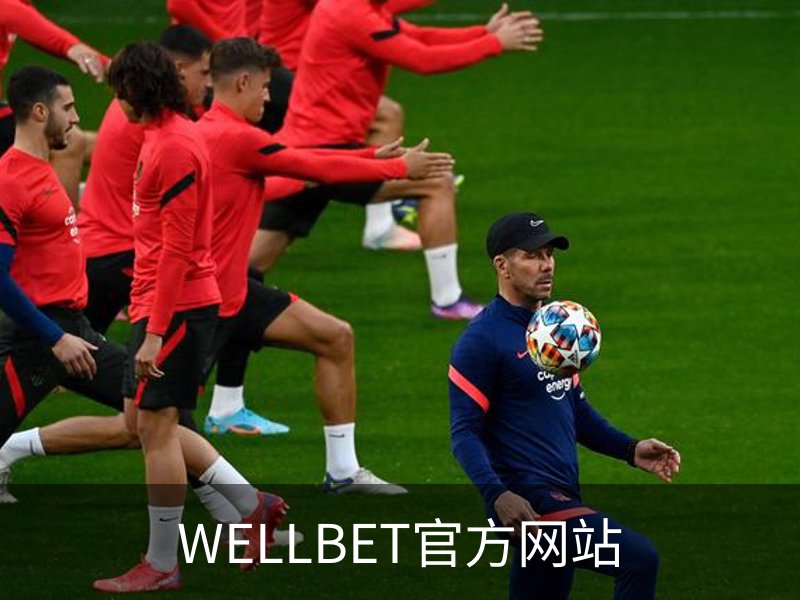 WELLBET官方网站概况